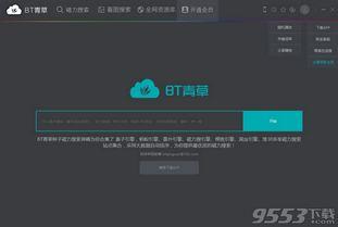 青草破解在线视频16,技术突破与安全挑战