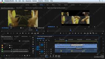 2018dvd在线视频,重温经典，探索光影魅力