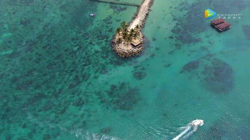 南海孤岛在线视频