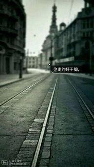 南海孤岛在线视频