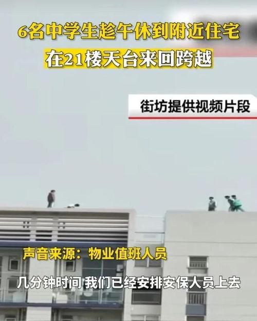 楼层在线视频,在线视频带你领略建筑之美
