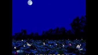 月色湾ysw在线视频