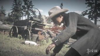 韩家军镖客在线视频观看,江湖传奇，在线视频再现英雄风采