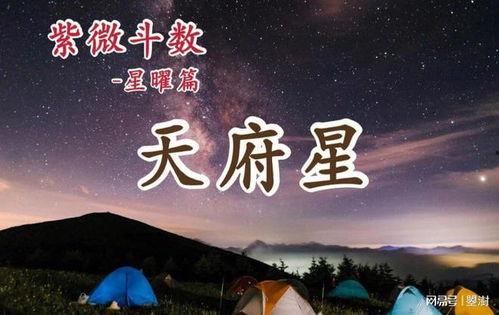 紫微在线视频观看,揭秘紫微斗数奥秘，带你走进命理世界