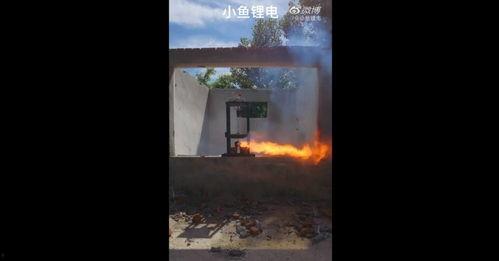 针刺穿环在线视频,一针见血，见证神奇瞬间