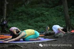 野外瑜伽手机在线视频,随时随地享受自然与宁静的身心之旅