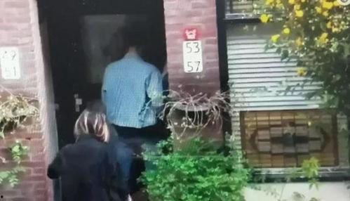 荷兰另类在线视频观看,探索多元文化的新窗口