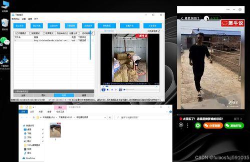 小风琴在线视频下载,轻松掌握小风琴在线视频下载技巧  第3张