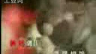 青青草原七七在线视频,青青草原的欢乐时光  第2张