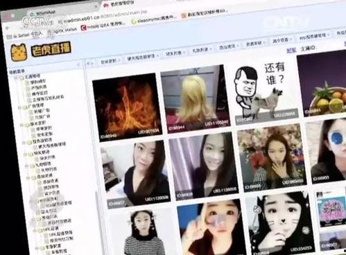 在线视频观看成人